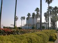 青島パームビーチホテル